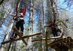 I percorsi acrobatici dei parchi sottoposti a severi controlli