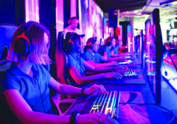 Il Senato sta lavorando sugli eSports, Agricoltura e riforma del Calcio